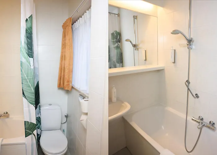 Huisdiervriendelijk hotel: Hotel Noordzee